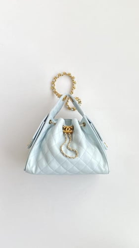 THE CHANEL 25 HANDBAG