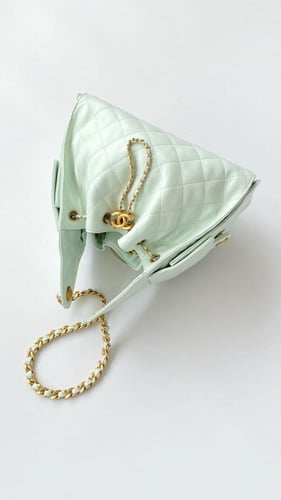 THE CHANEL 25 HANDBAG