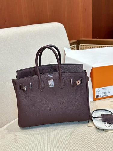 Hermès Birkin 25