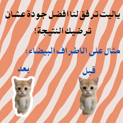 ستيكرز حسب الطلب (حبة)