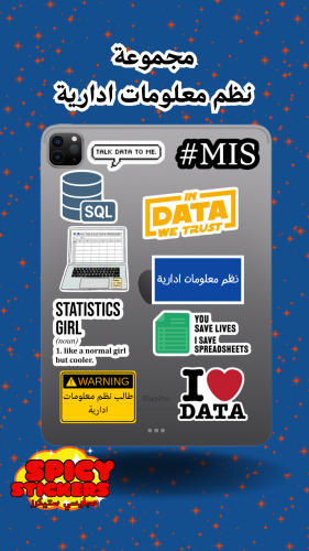 مجموعة نظم معلومات ادارية (10 حبات)