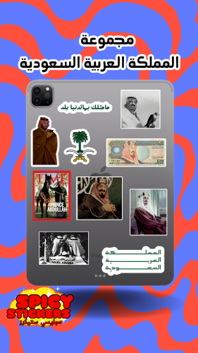 مجموعة المملكة العربية السعودية (10 حبات)