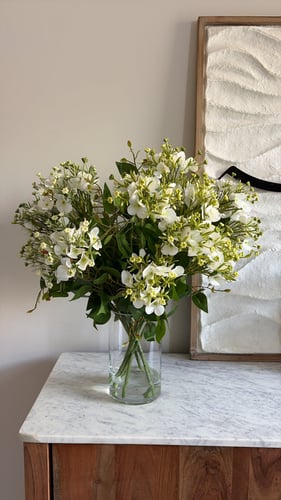 Mini white hydrangea flower