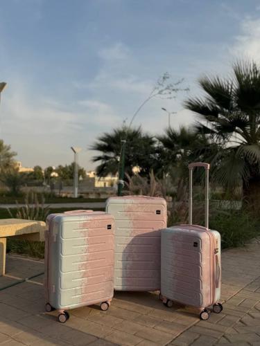 شنط سفر ثلاث قطع مصممه بشكل انيق | وردي