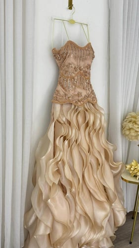 فستان سهرة شمبانيا فاخر بتطريز يدوي وتنورة أورجنزا...