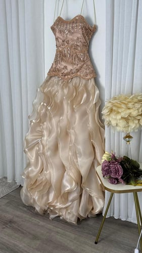 فستان سهرة شمبانيا فاخر بتطريز يدوي وتنورة أورجنزا...