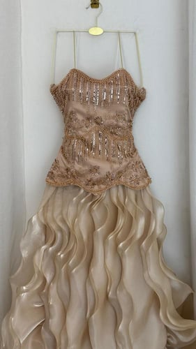 فستان سهرة شمبانيا فاخر بتطريز يدوي وتنورة أورجنزا...