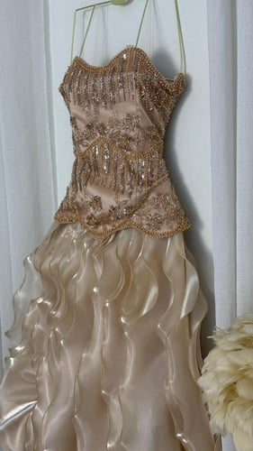 فستان سهرة شمبانيا فاخر بتطريز يدوي وتنورة أورجنزا...