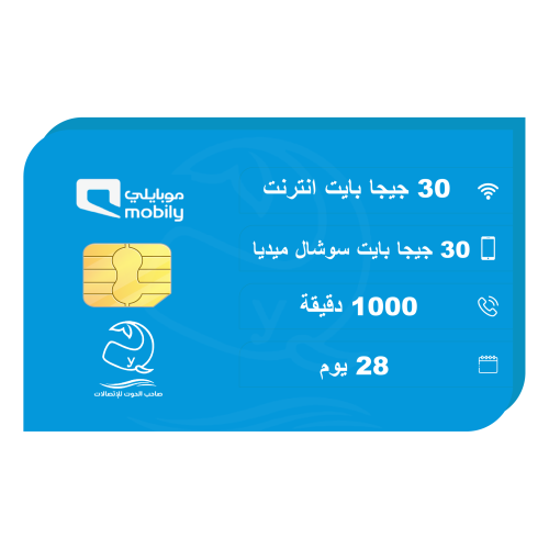 Flex Plus Card 100