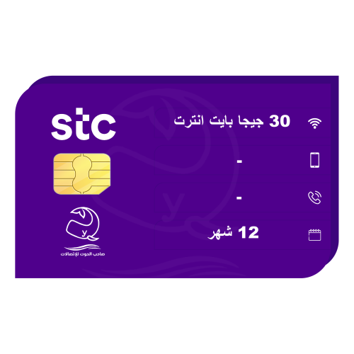 كويك نت سمارت 30 جيجا - 12 شهر