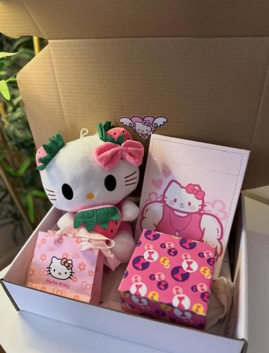 بوكس هيلو كيتي