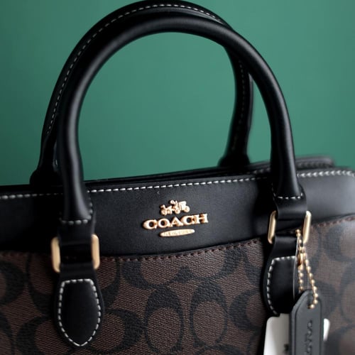 شنطة كوتش دارسي كارييل CO180