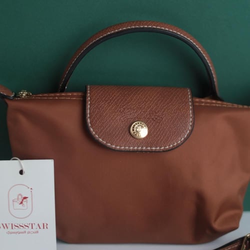 لونج شامب لو بلاج ميني LO101