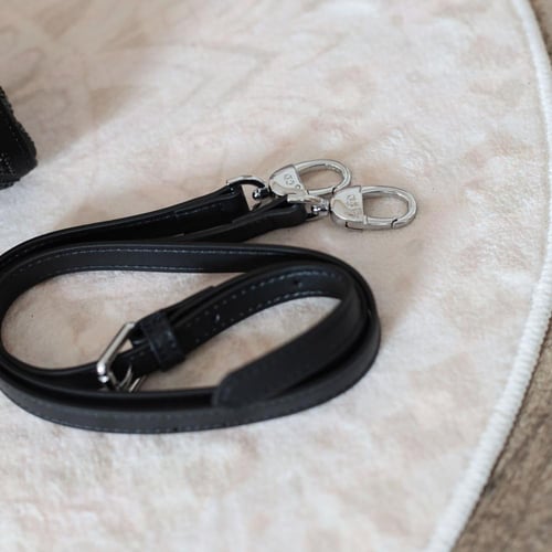 ليدي ديور R101