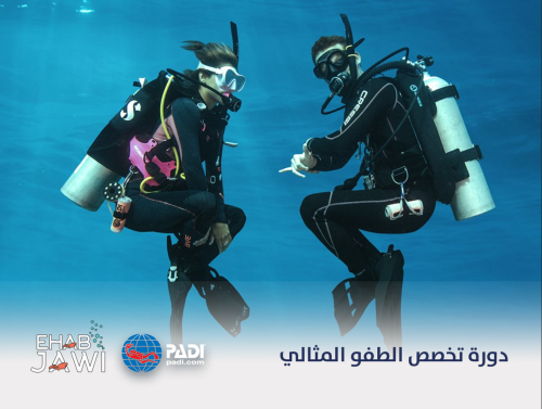 دورة تخصص الطفو المثالي