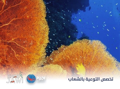 تخصص التوعية بالشعاب
