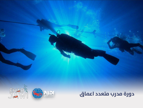 دورة مدرب متعدد اعماق