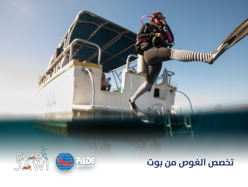 تخصص الغوص من بوت