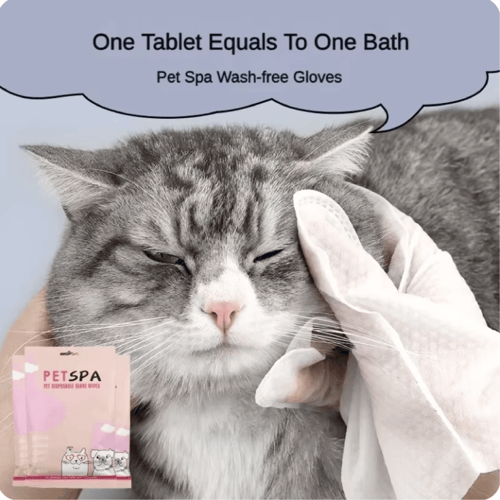 قفازات منديل لتنظيف الحيوانات الاليفة 6قطع