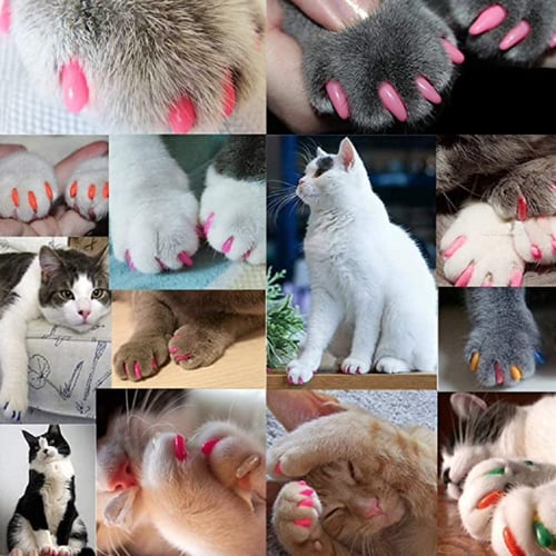 اغطية اظافر ناعمة من السليكون لمخالب القطط مع صمغ...