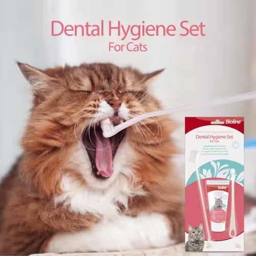بايو لاين معجون اسنان للقطط مع فرش تنظيف 50 جرام