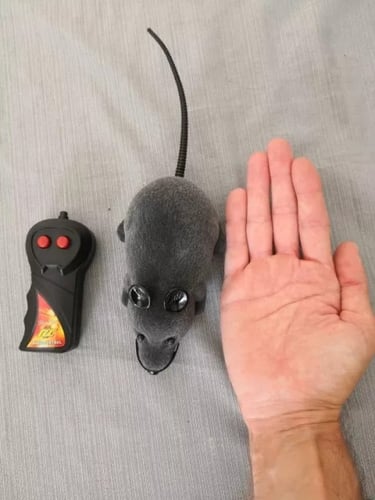 لعبة الفاْر مع جهاز التحكم