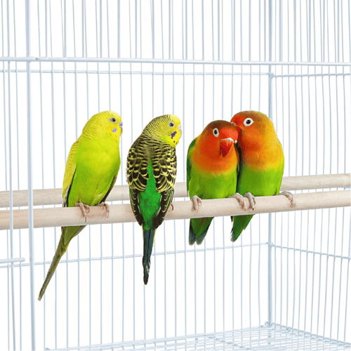 قفص طيور ابيض مقاس (47*76)بارتفاع 51 سم