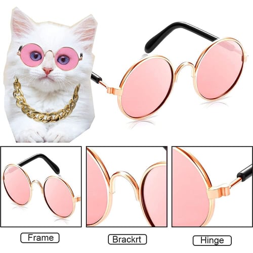 نظارة شمسية للقطط