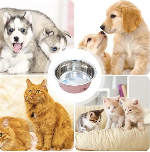 صحن ستاليس حجم كبير برسومات والوان مختلفة للقطط وا...