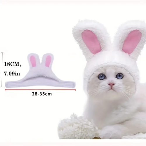 قبعة للقطط والكلاب، للمناسبات والاعياد