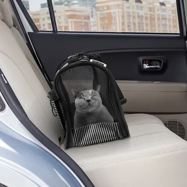 حقيبة للحيوانات الاليفة