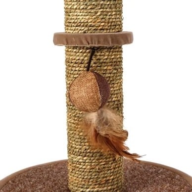 خداشة مع لعبة الريش للقطط