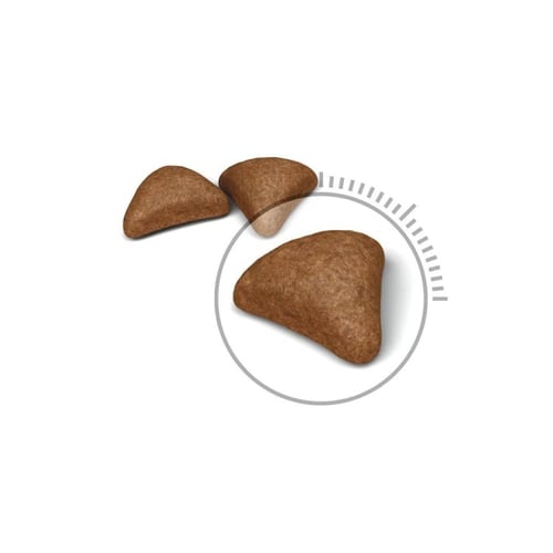 رويال كانين HAIRBALL طعام جاف للقطط تمنع تكوين كرا...