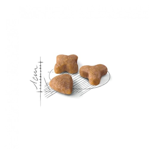 رويال كانين SENSIBLE طعام جاف للقطط - لحساسية الهض...