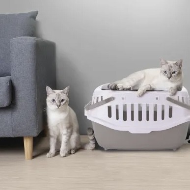 بوكس تنقل حجم كبير للقطط والجراء