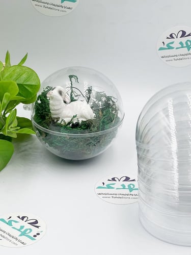 درزن علب بلاستيك كرة