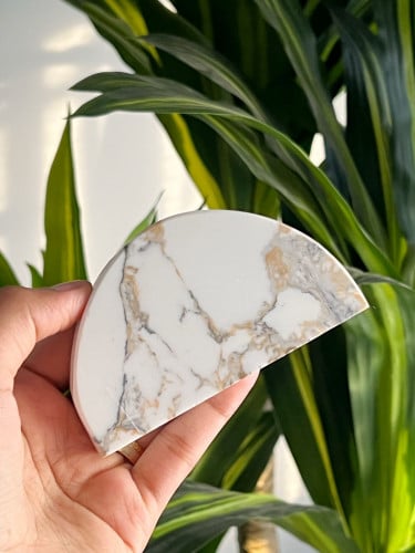 قاعدة رخام نص دائرة