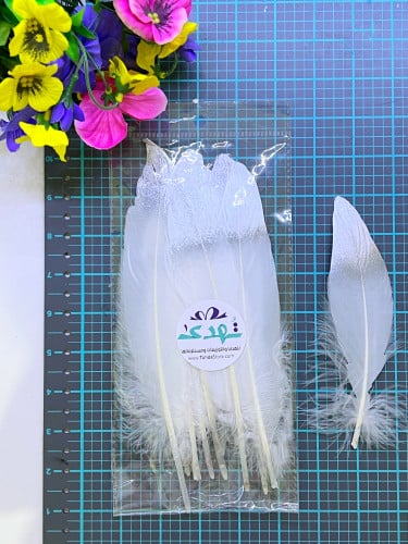 10 ريش فضي وأبيض وسط ( 20 سم )