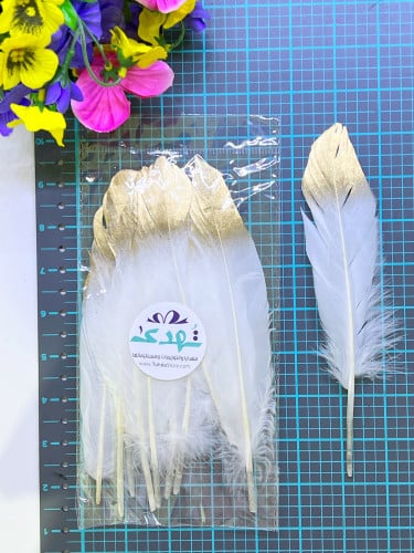 10 ريش ذهبي وابيض وسط ( 20 سم )