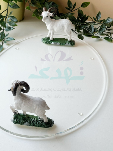 صينية تقديمات مسكة خروف