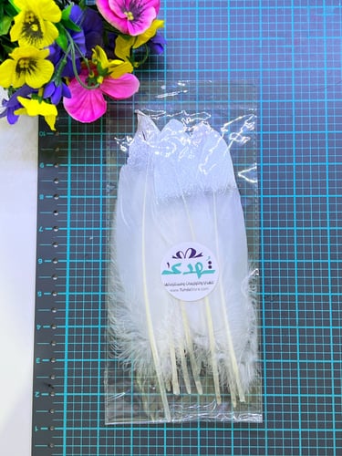 10 ريش فضي وأبيض وسط ( 20 سم )