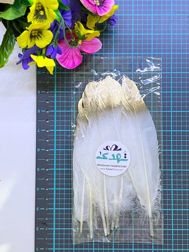 10 ريش ذهبي وابيض وسط ( 20 سم )