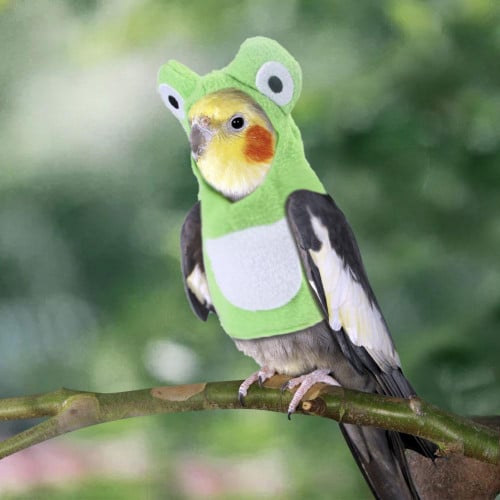 ملابس للطيور هودي للطيور