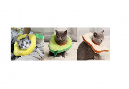 طوق الفواكة الطبي