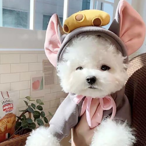 لبس الفأر للقطط والكلاب