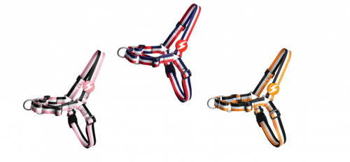 صدرية ثلاثية الالوان من داشي