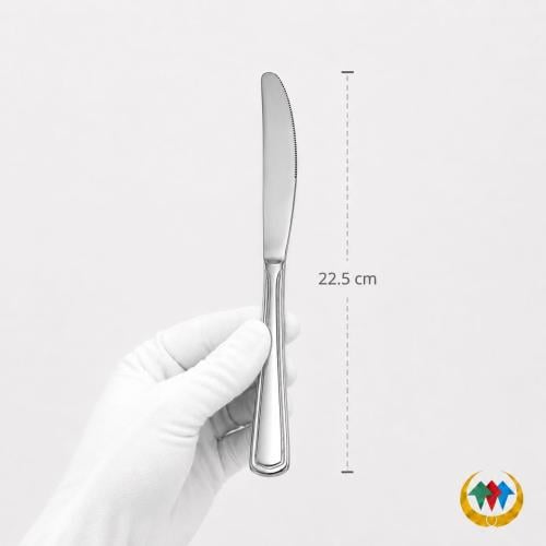 Stainless steel table knife
