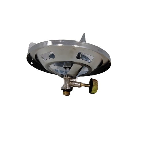 راس دافور إيطالي كبير