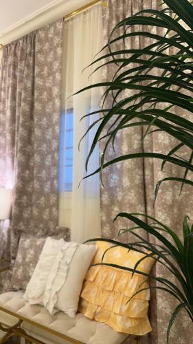 البكج الاقتصادي