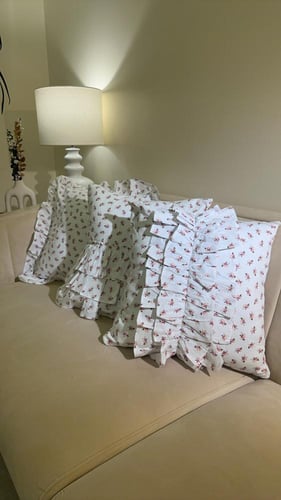 البكج الاقتصادي